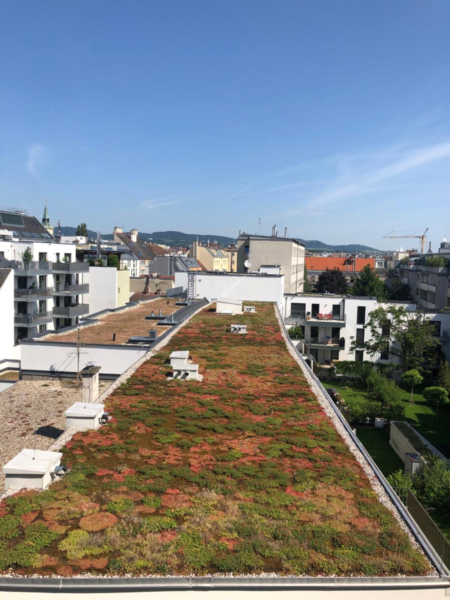 Vienna Sunny Side Up Apartments Exteriör bild